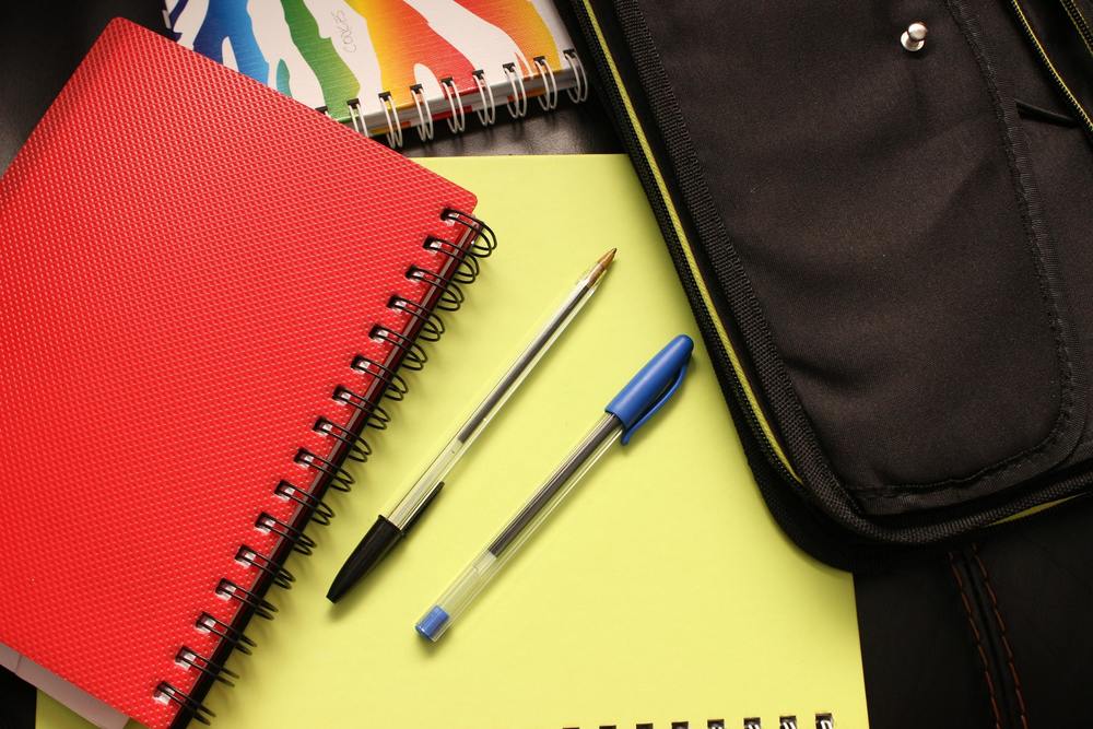 Academic Option for the Spring Semester