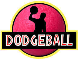 Dodgeball and Dads Volunteer Form