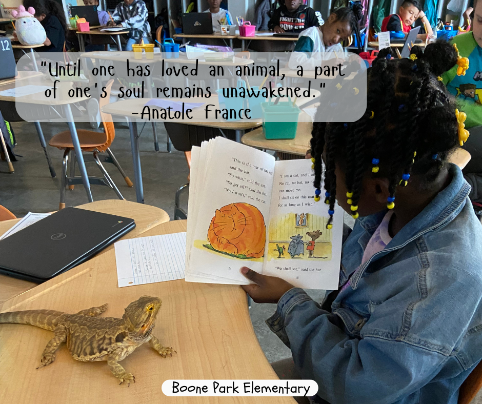 One of Mrs. Peterson's 3rd class students turned in a coupon to have uninterrupted time with Zilla (the classroom bearded dragon). So she read to her! Enjoy this picture of this precious moment!   "Until one has loved an animal, a part of one's soul remains unawakened."  -Anatole France